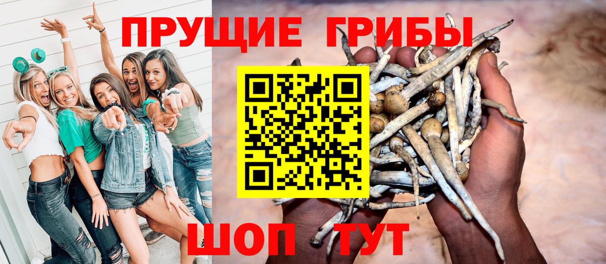 Псилоцибиновые грибы прущие грибы Казань